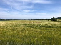 Działka budowlana Lutomia Górna, ul. Widokowa. Zdjęcie 3