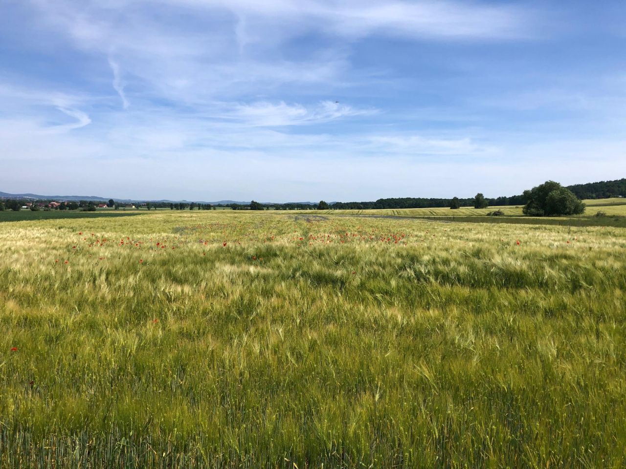 Działka budowlana Lutomia Górna, ul. Widokowa. Zdjęcie 4