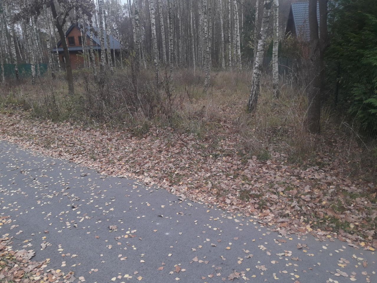 Działka budowlana Stare Załucze. Zdjęcie 3