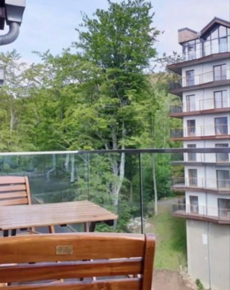 Mieszkanie 1-pokojowe Szklarska Poręba, ul. Górna. Zdjęcie 3