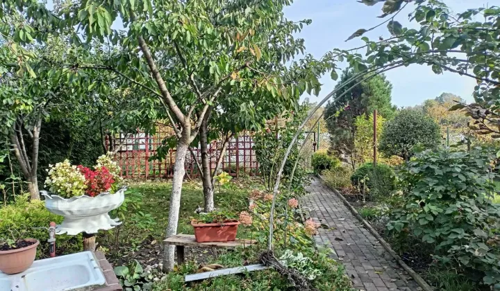 Działka rod Gniezno