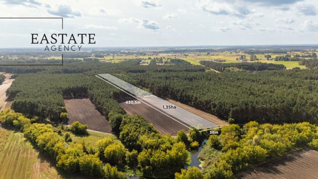 Działka leśna Maurzyce. Zdjęcie 1