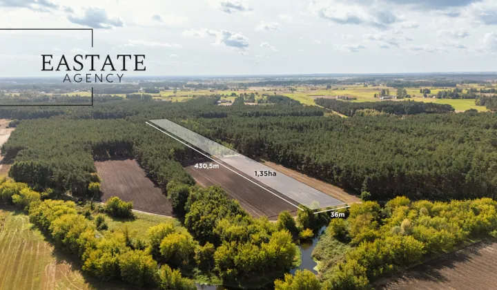 Działka leśna Maurzyce