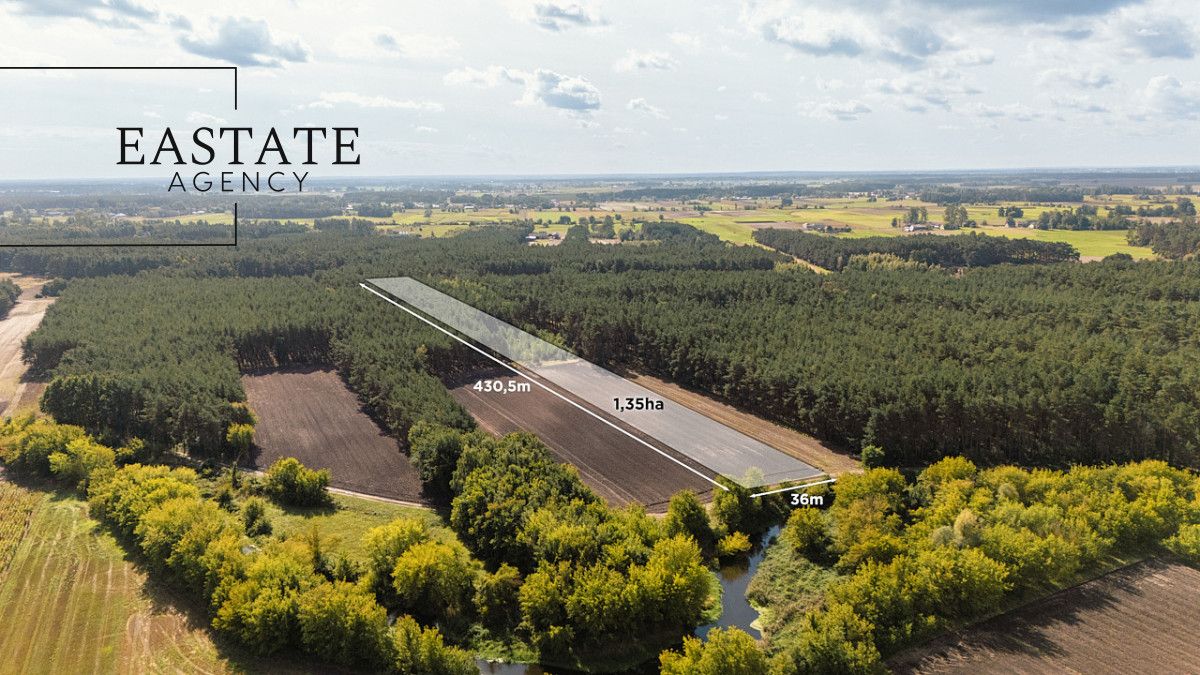 Działka leśna Maurzyce. Zdjęcie 1