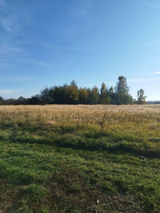 Działka rolna Nowa Wieś. Zdjęcie 2