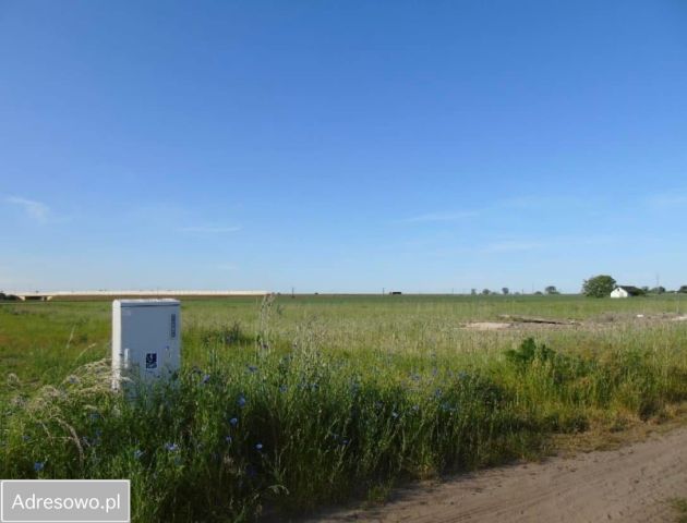 Działka budowlana Renice. Zdjęcie 1