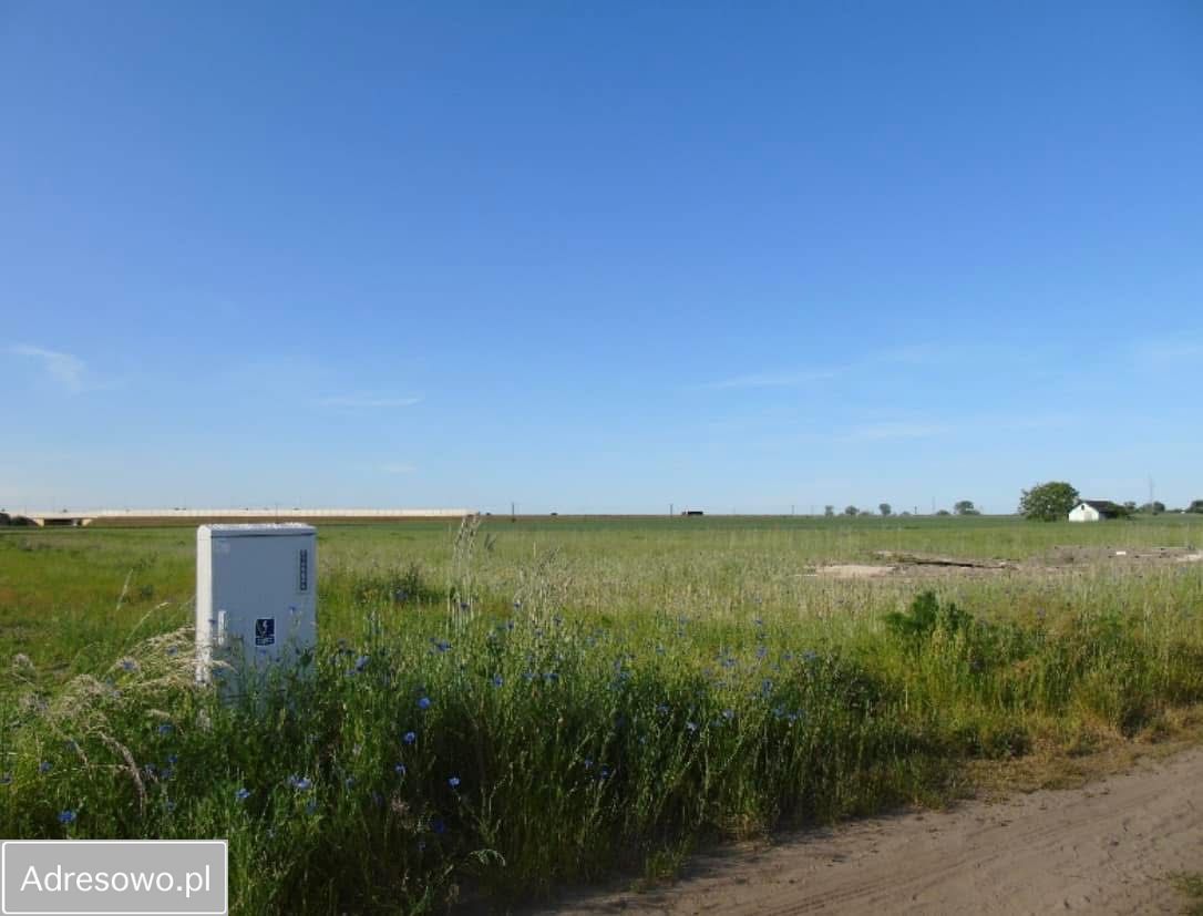 Działka budowlana Renice. Zdjęcie 1