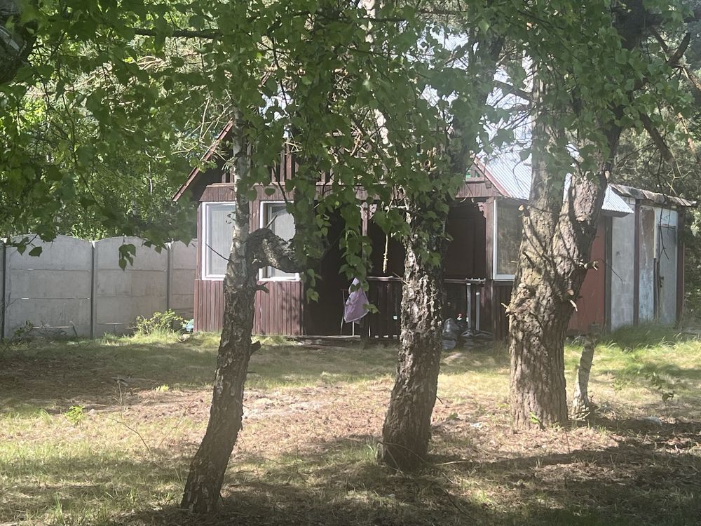 Działka Krzepin. Zdjęcie 5