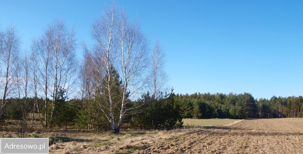 Działka rekreacyjna Lipy. Zdjęcie 14