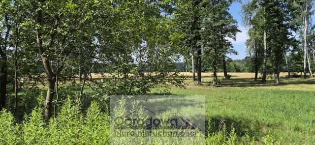 Działka Wólka Radzymińska. Zdjęcie 4
