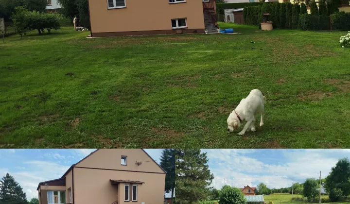 dom wolnostojący Iwonicz