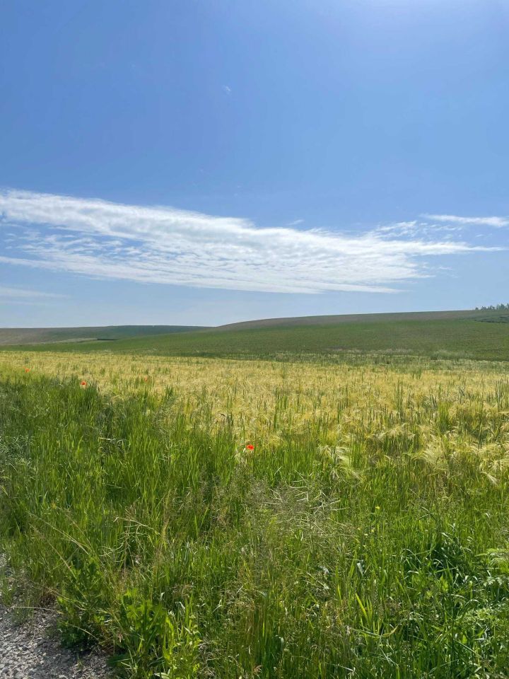 dom wolnostojący, 3 pokoje Siennów. Zdjęcie 8