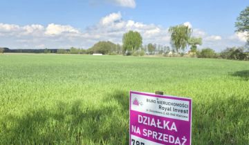 Działka rekreacyjna Skrzynka