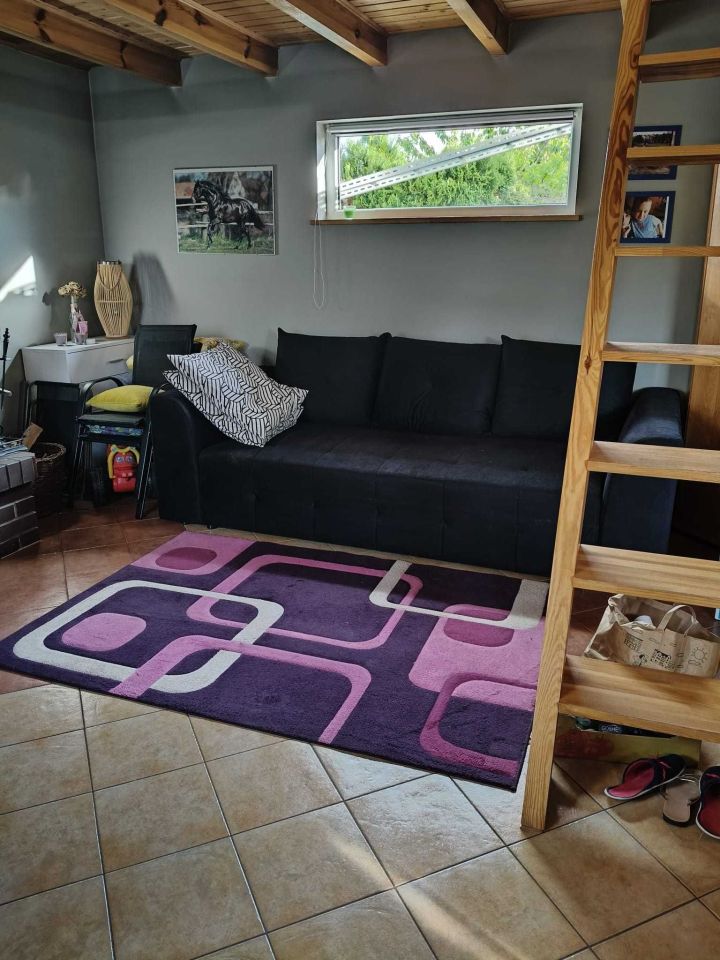 Działka rod Międzychód. Zdjęcie 4