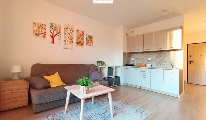 Mieszkanie 1-pokojowe Mińsk Mazowiecki, ul. Ignacego Daszyńskiego