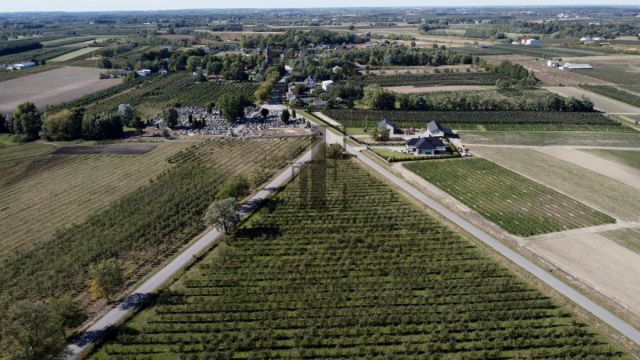 Działka rolna Boglewice. Zdjęcie 6