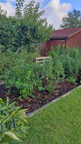 Działka rod Koszalin Jamno, ul. Władysława IV. Zdjęcie 1