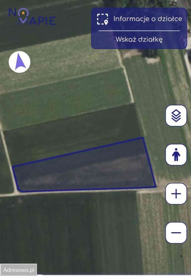 Działka rolna Kamienna-Kolonia. Zdjęcie 4