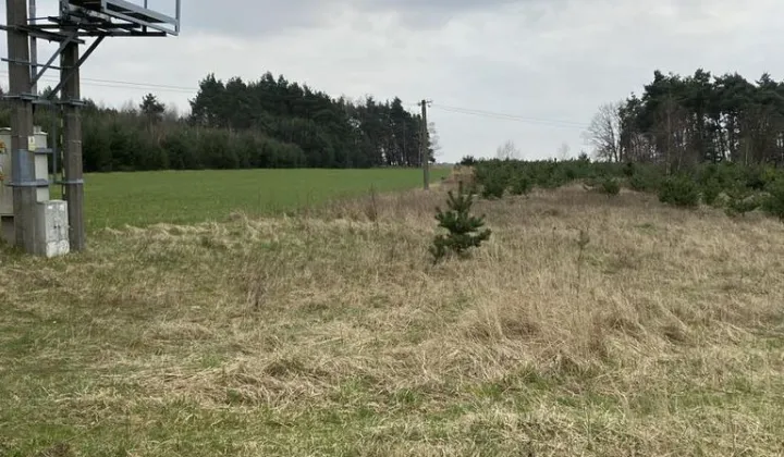 Działka budowlana Kowale