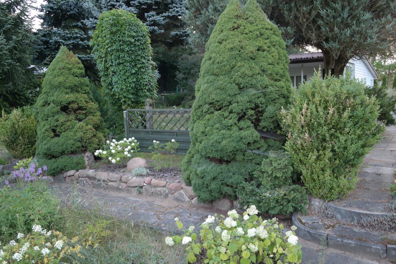 Działka rod Niewodnica Kościelna, ul. Działkowców. Zdjęcie 35