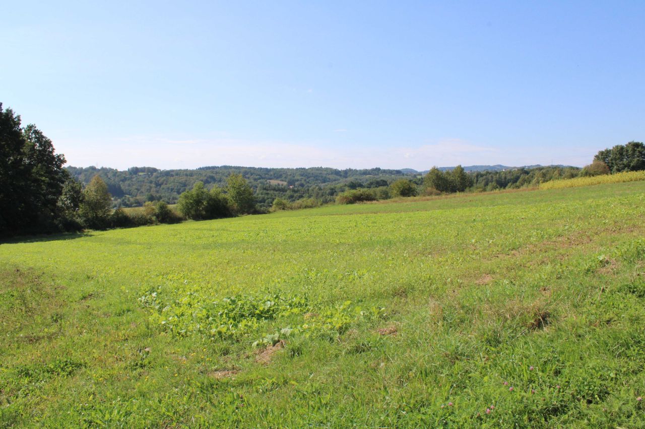 Działka rolno-budowlana Buchcice. Zdjęcie 2