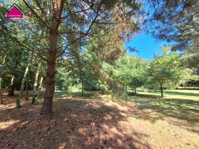 Działka rekreacyjna Cegielnia. Zdjęcie 12