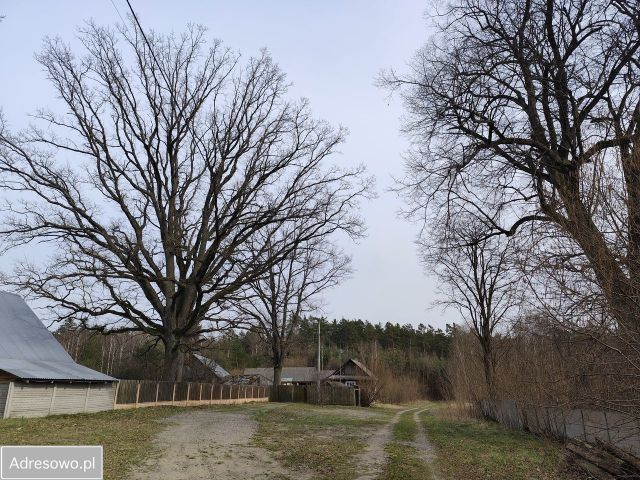 Działka budowlana Wolaniny. Zdjęcie 1