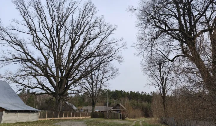 Działka budowlana Wolaniny