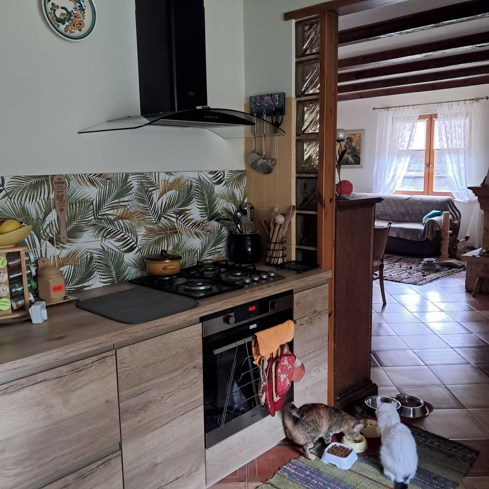 dom wolnostojący, 5 pokoi Radunin. Zdjęcie 7