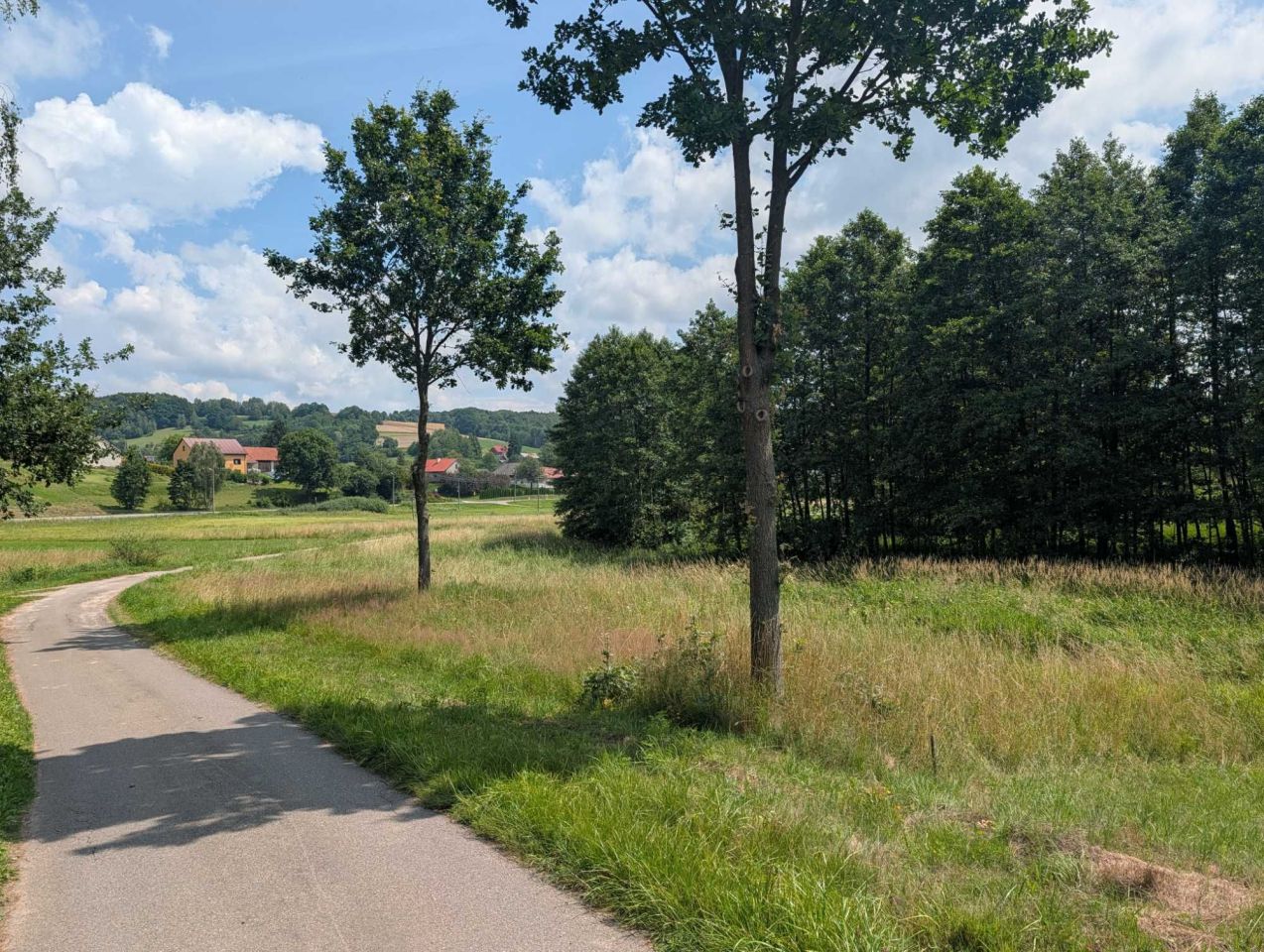 Działka budowlana Grodzisko. Zdjęcie 1
