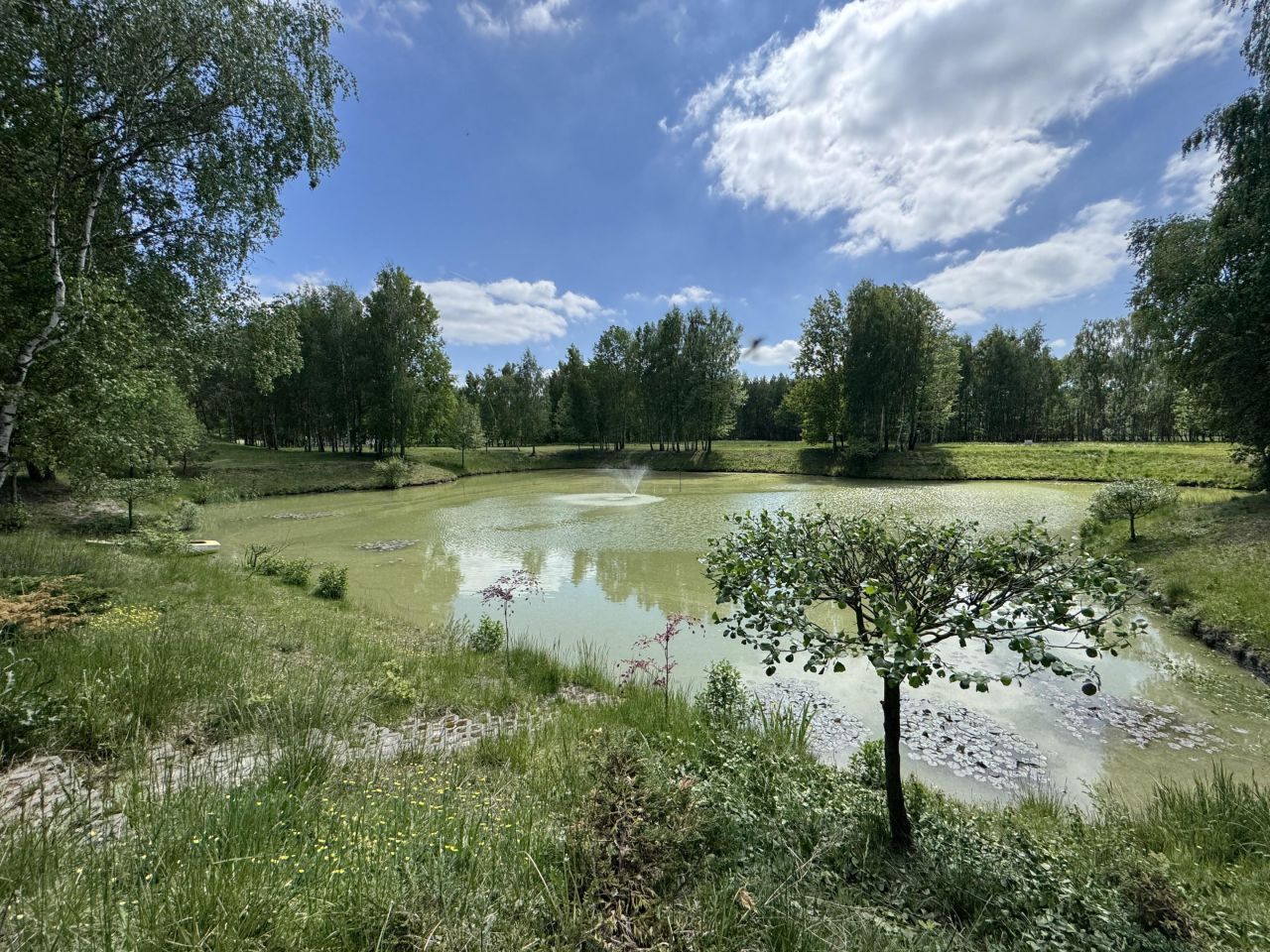 Działka budowlana Sadek, ul. Jesionowa. Zdjęcie 8