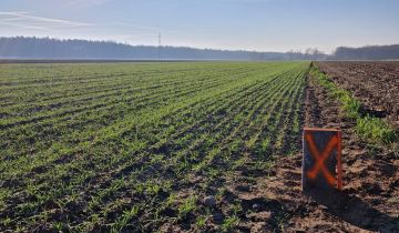 Działka budowlana Gorzyce Wielkie, ul. Topolowa