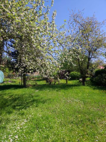 Działka rod Lubin. Zdjęcie 12