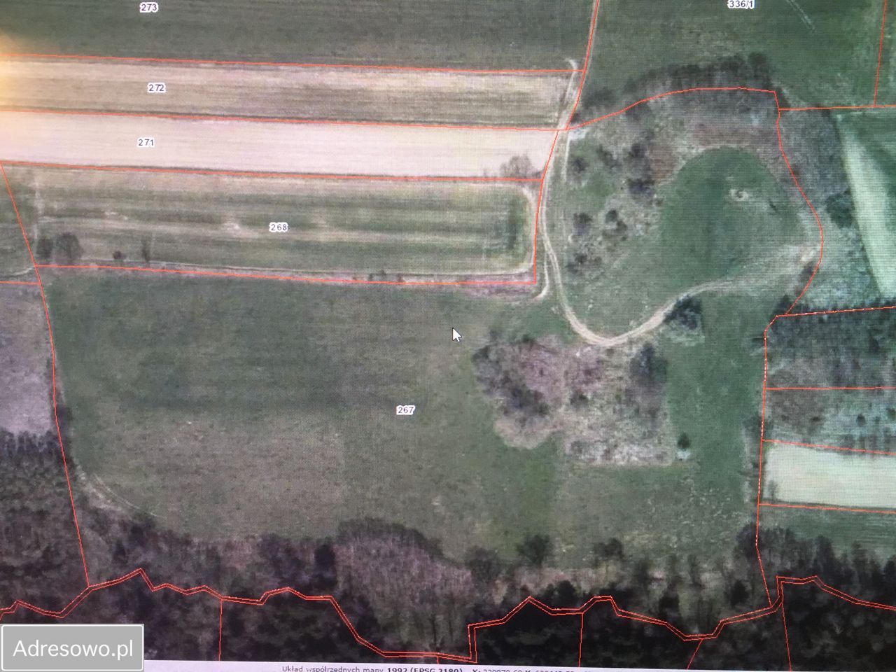 Działka rolno-budowlana Faściszowa. Zdjęcie 5