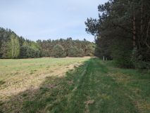 Działka budowlana Jesionna, ul. Radosna. Zdjęcie 3