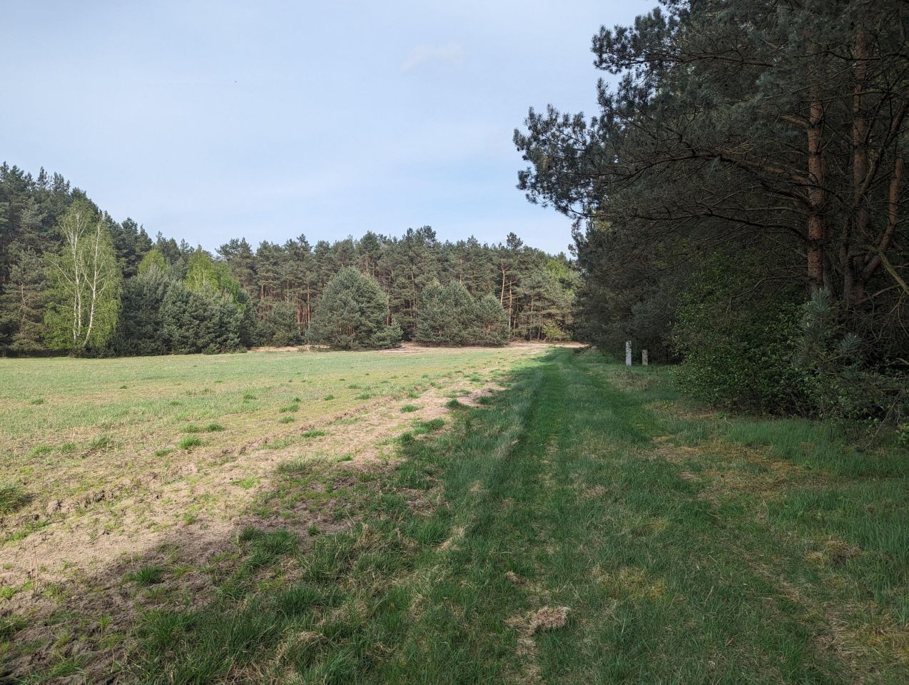 Działka budowlana Jesionna, ul. Radosna. Zdjęcie 4