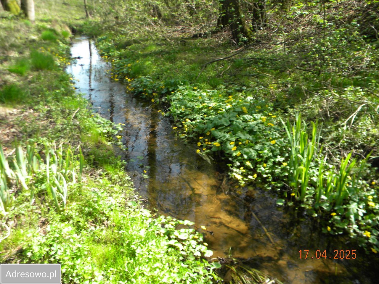 Działka rolna Nowy Dworek. Zdjęcie 6