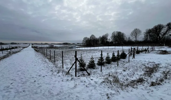 Działka rolno-budowlana Orzechowo
