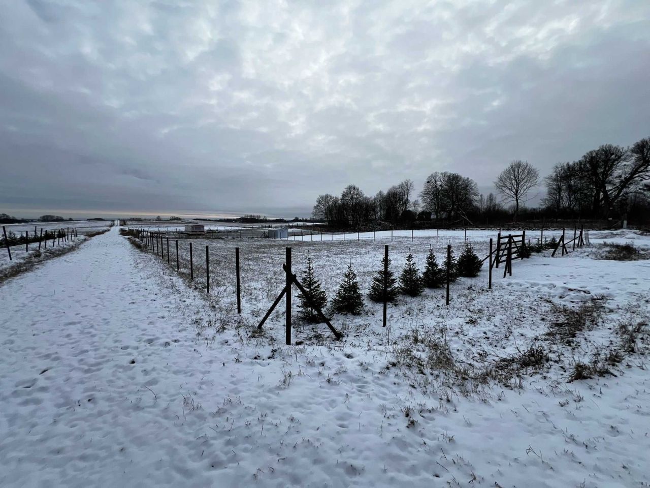 Działka rolno-budowlana Orzechowo