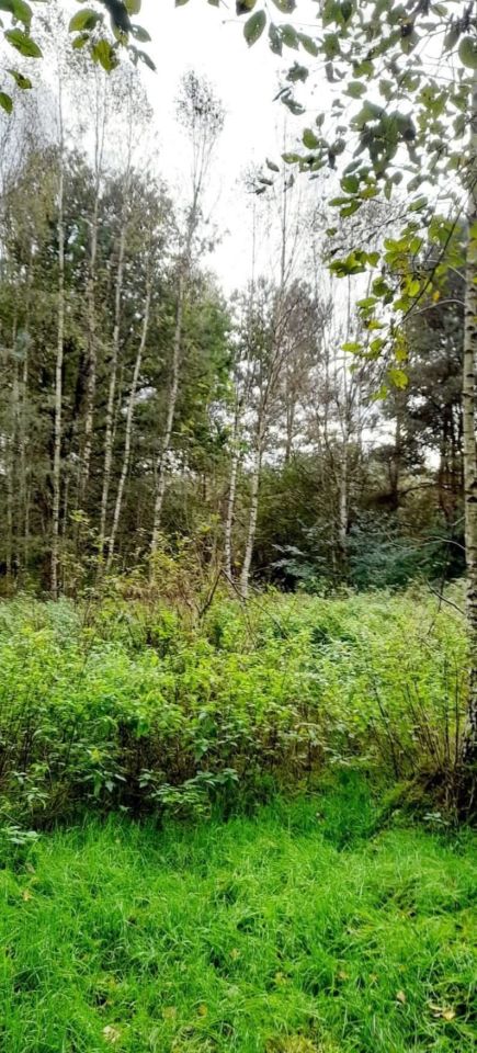 Działka budowlana Kłębowiec. Zdjęcie 2