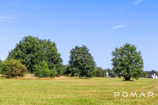 Działka Nędza, ul. Gliwicka. Zdjęcie 7