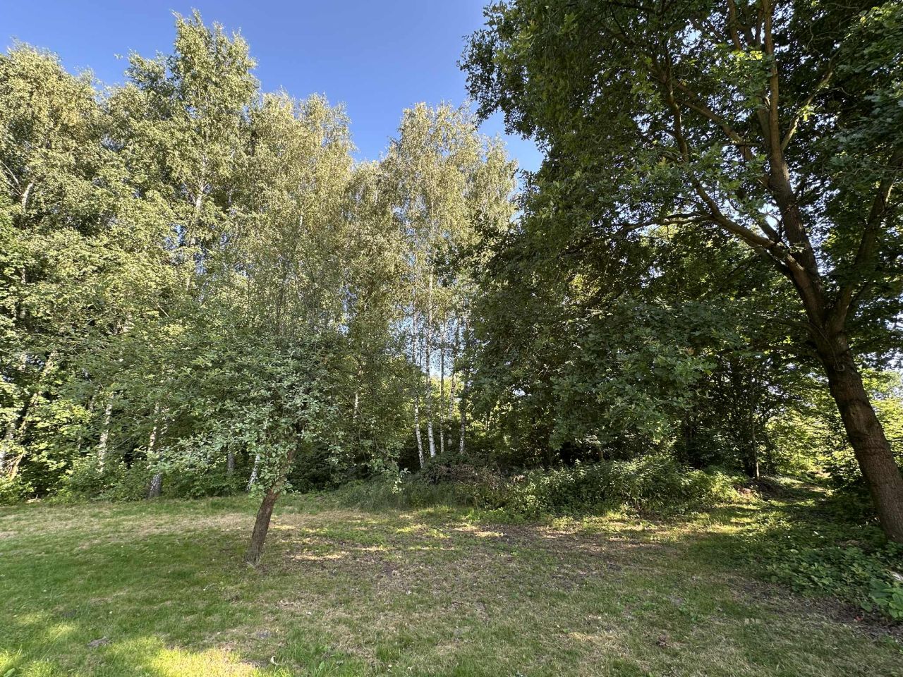 Działka rolna Grabiny. Zdjęcie 5