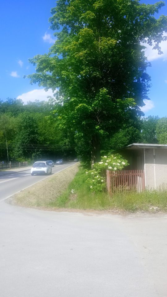 Nieruchomość komercyjna Olesno Owczarnia, ul. Leśna. Zdjęcie 3