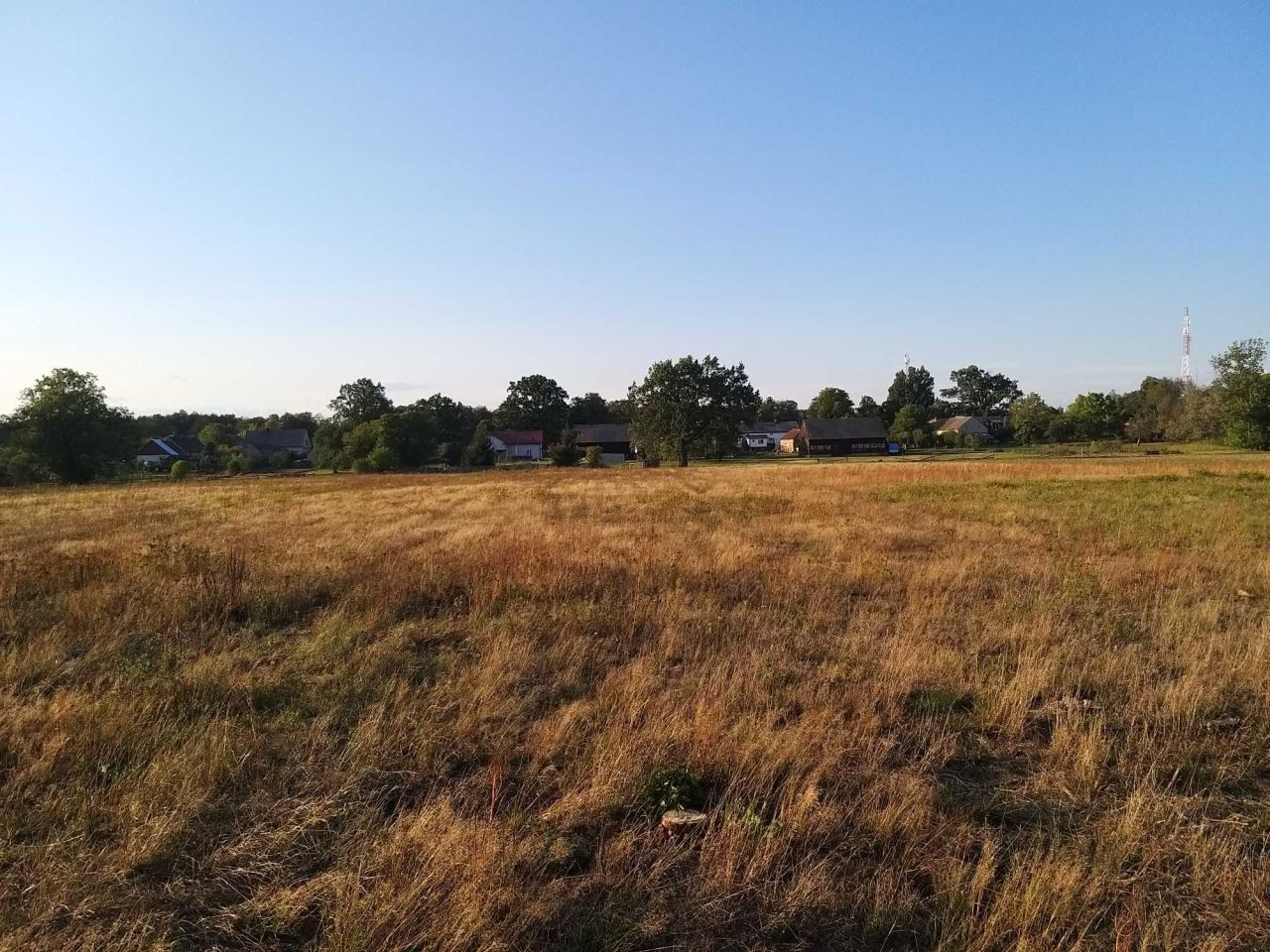 Działka budowlana Dąbie. Zdjęcie 4