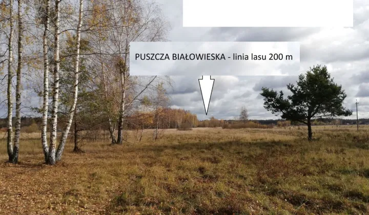 Działka rolna Olchówka