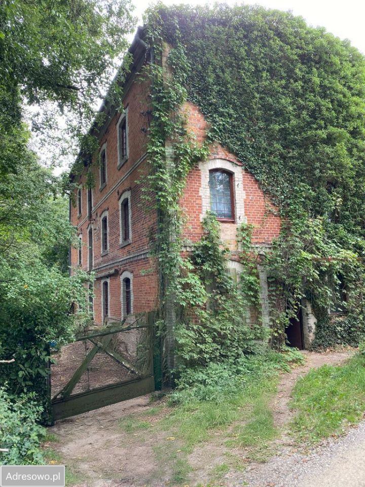 Nieruchomość komercyjna Słonów