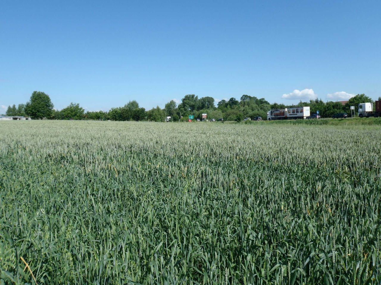 Działka inwestycyjna Oświęcim, ul. Zatorska. Zdjęcie 6