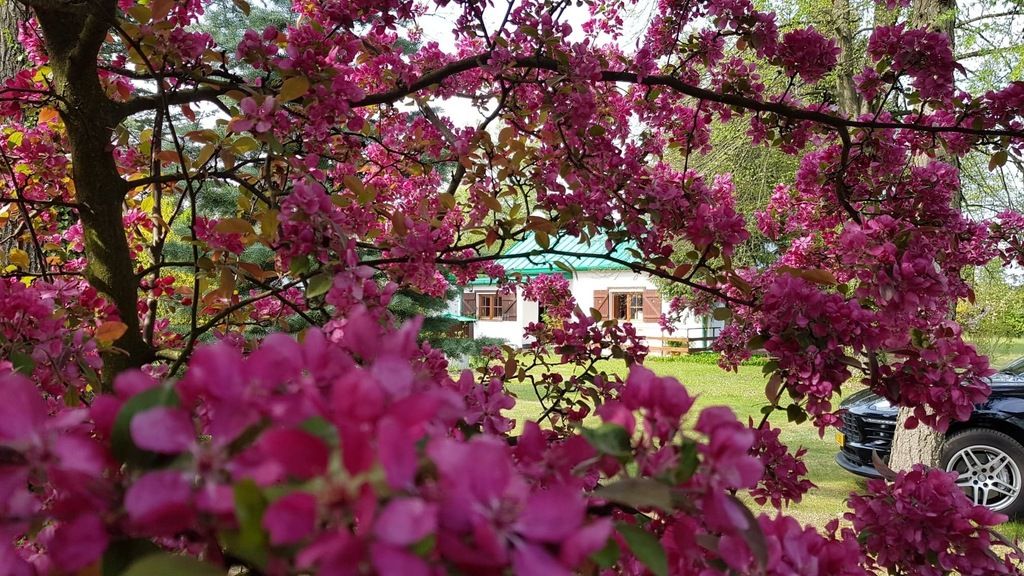 dom wolnostojący, 4 pokoje Nosy-Poniatki, ul. Szkolna. Zdjęcie 14