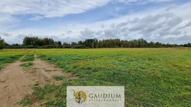 Działka budowlana Drewnica. Zdjęcie 4