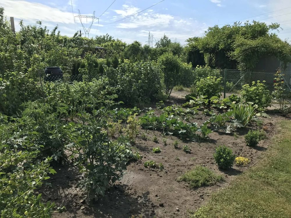 Działka rod Gorzów Wielkopolski, ul. Szarych Szeregów. Zdjęcie 3